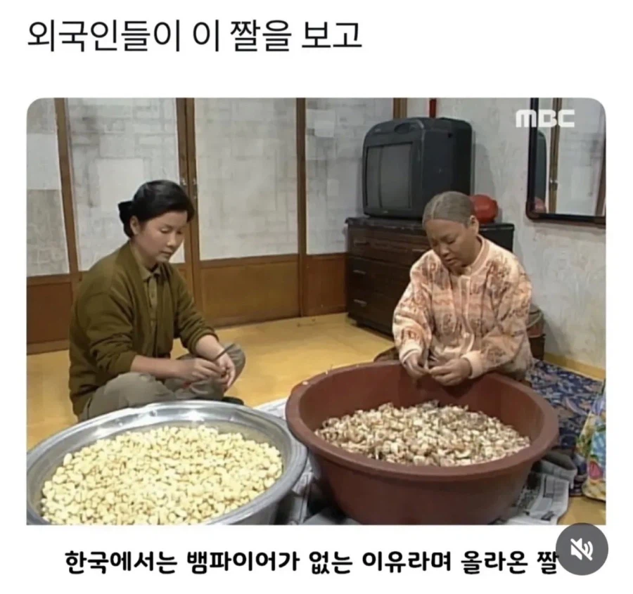 대한민국에 뱀파이어가 살기 힘든 이유_1.webp