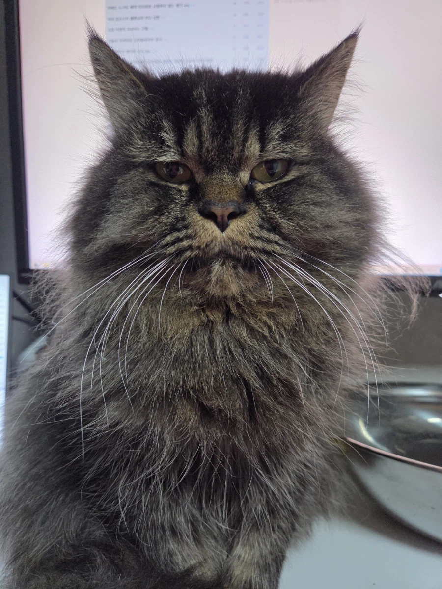 오늘따라 유게에 이상한 사람이 너무 많다_1.webp