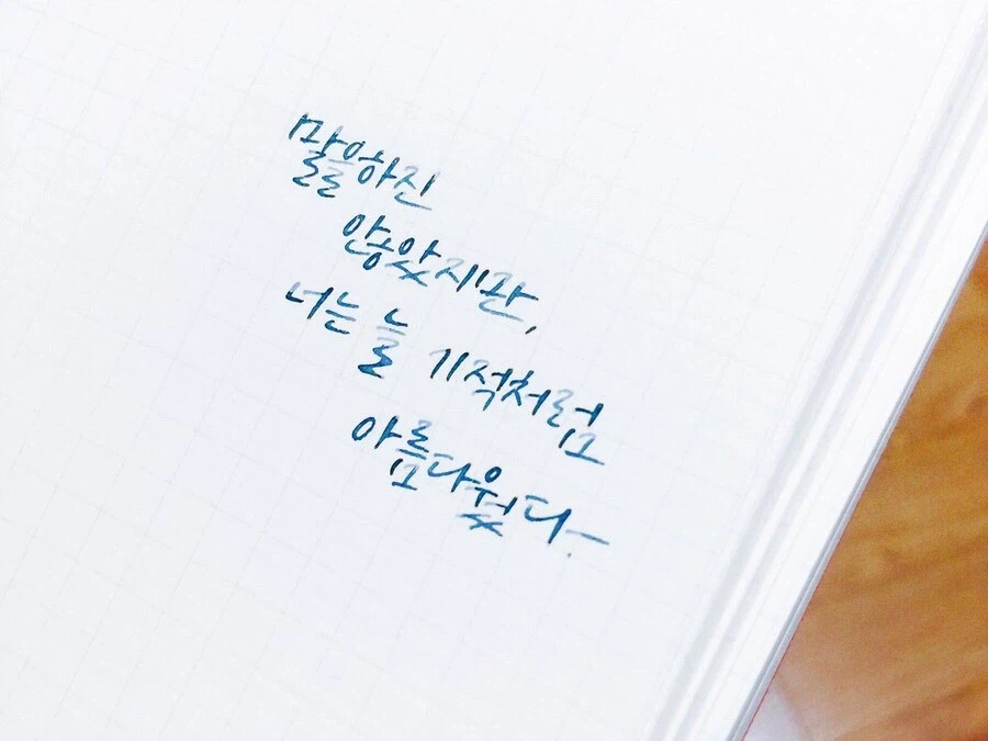 씹덕 작품인 거 감안해도 역대급 문장이라 생각하는 거_1.webp