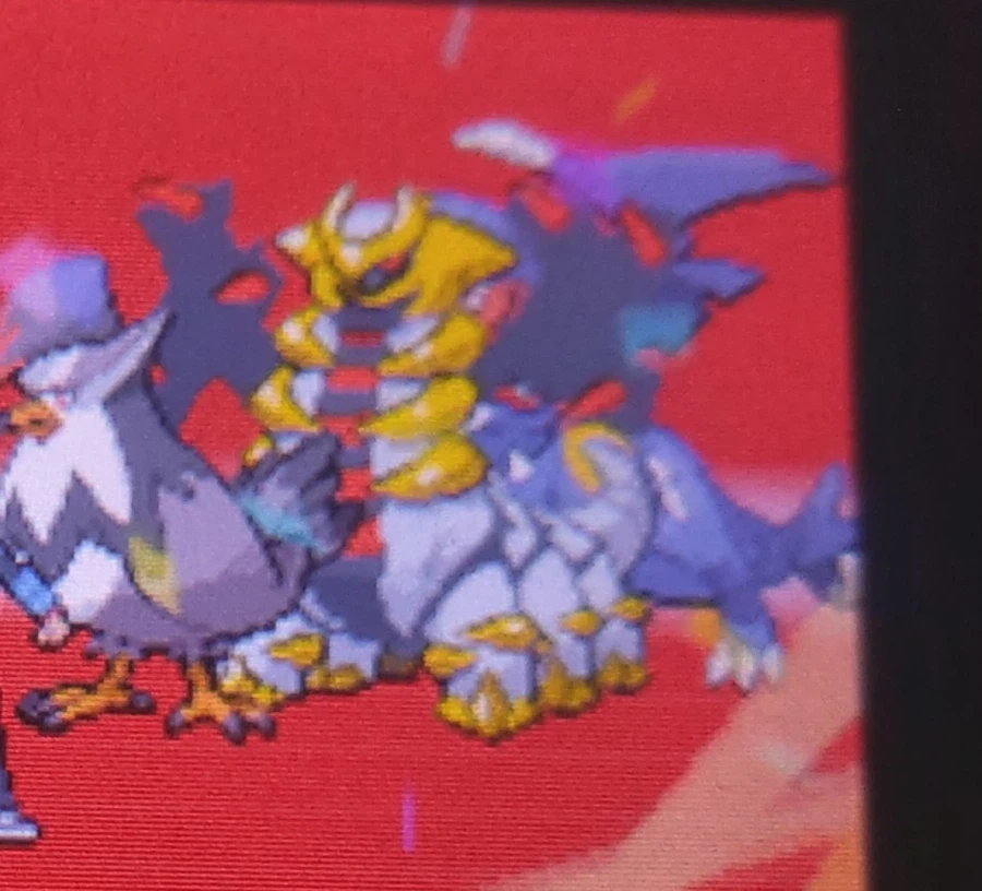 남들 포코피아 할때_3.webp