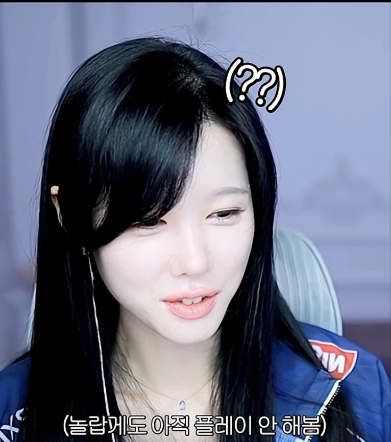 붉은사막) 플레이 안하고도 정확한 평가하는 스트리머_11.webp