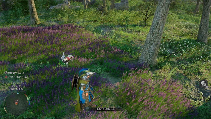 반려동물도 투구+갑옷 장착이 가능하네요_1.webp