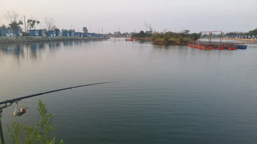 괴담) 무슨 운전을 이따위로 해?_1.webp