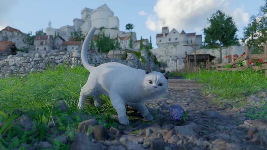 붉은사막) 길에서 만난 하얀 고양이_1.webp