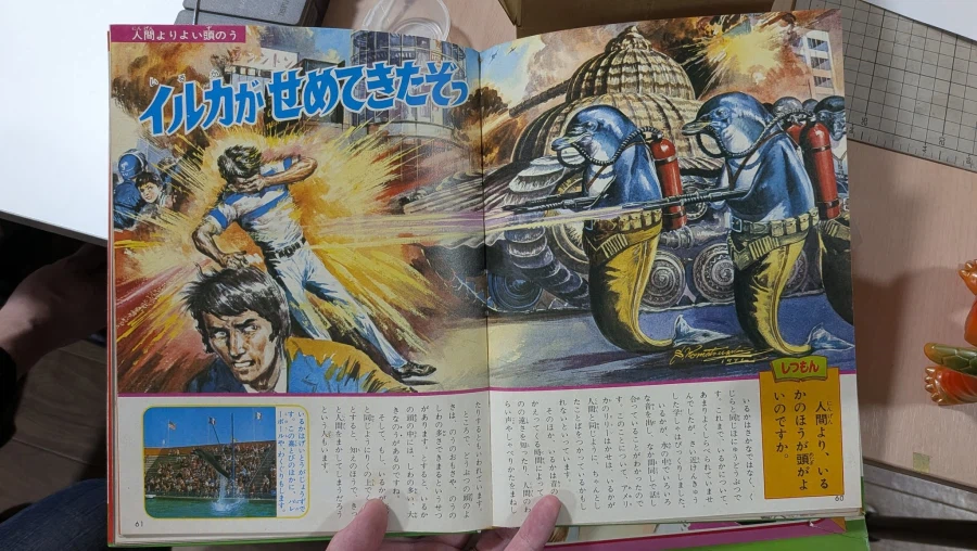 짤로 유명한 '돌고래가 침략해왔다.'의 진실.twit_2.webp