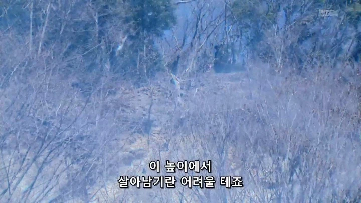 [가면라이더 가이무]의 통수는 세 번 친다_107.webp