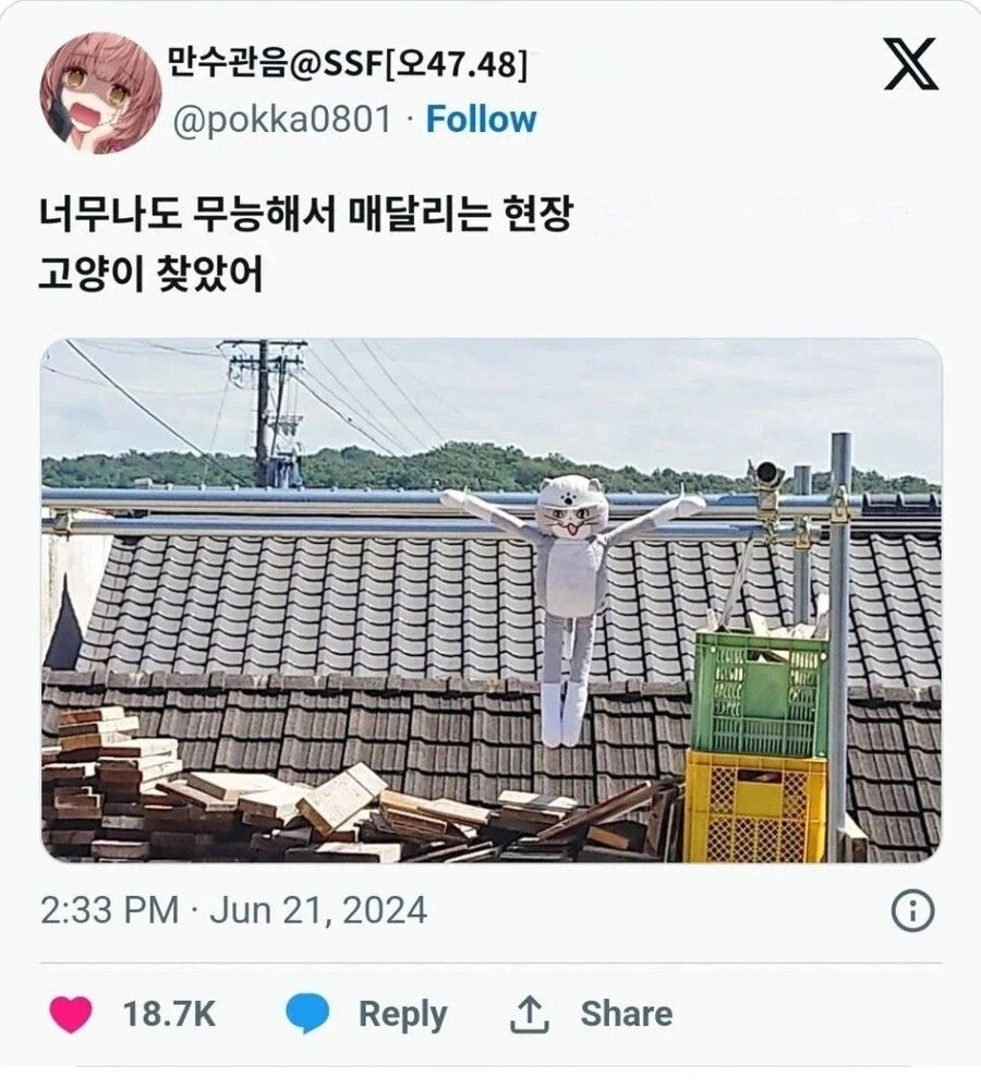 처형당한 현장냥이_1.webp