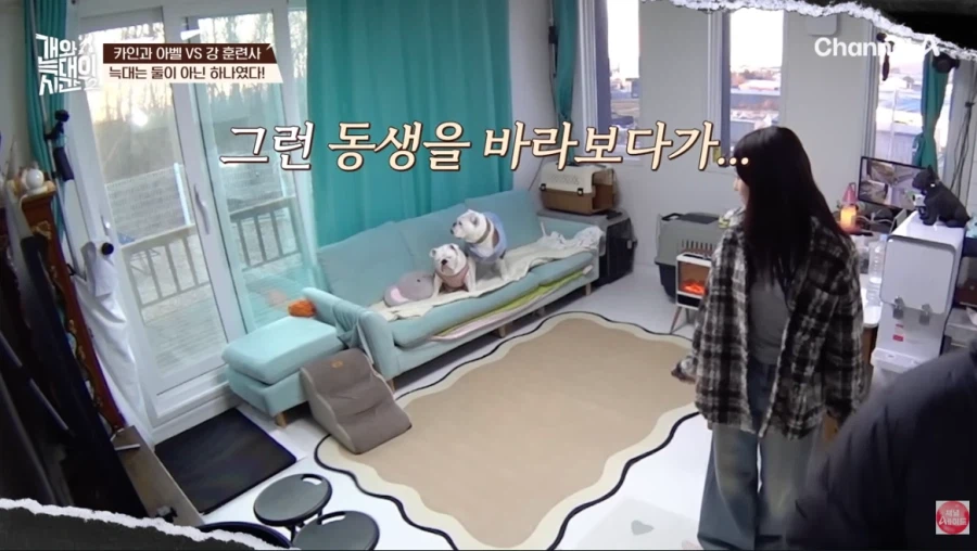 강형욱 프로에서 종종 나오는 개_4.webp