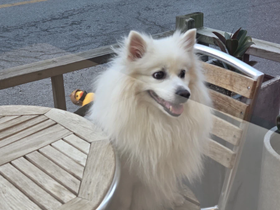 대충 베스트 가고 싶다는 글_9.webp