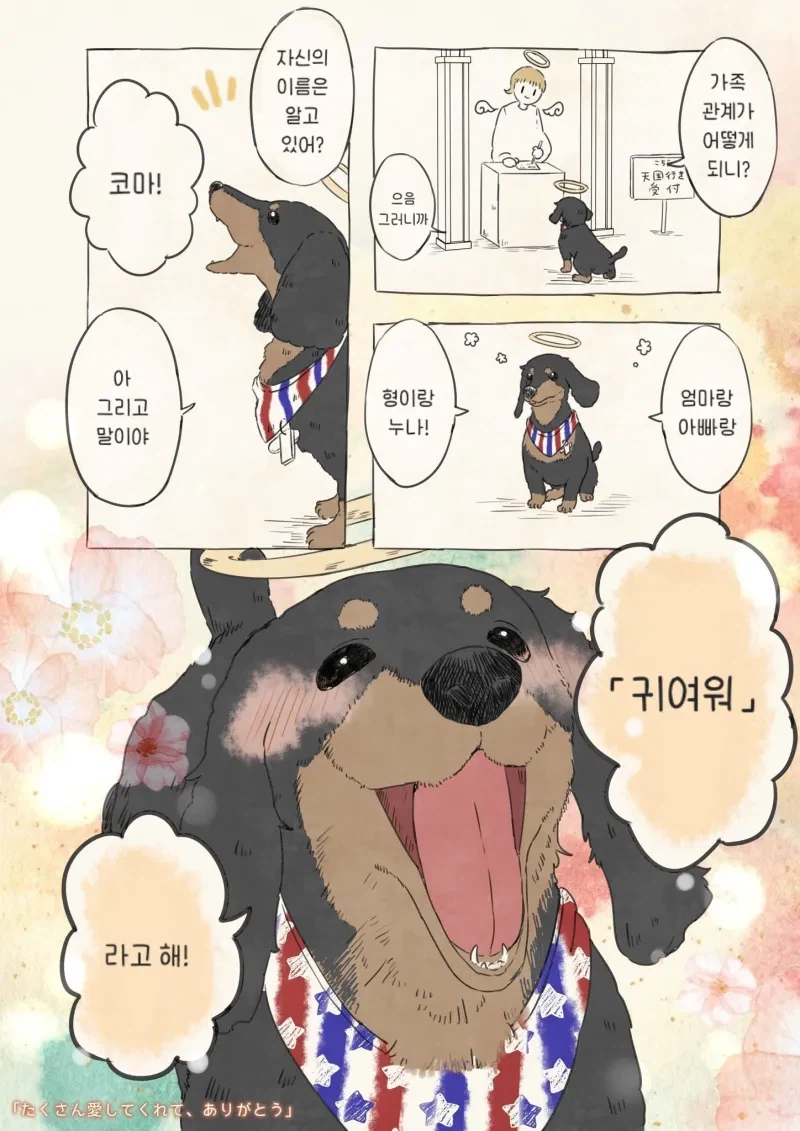 강아지 이름 물어보는 .manhwa_1.webp