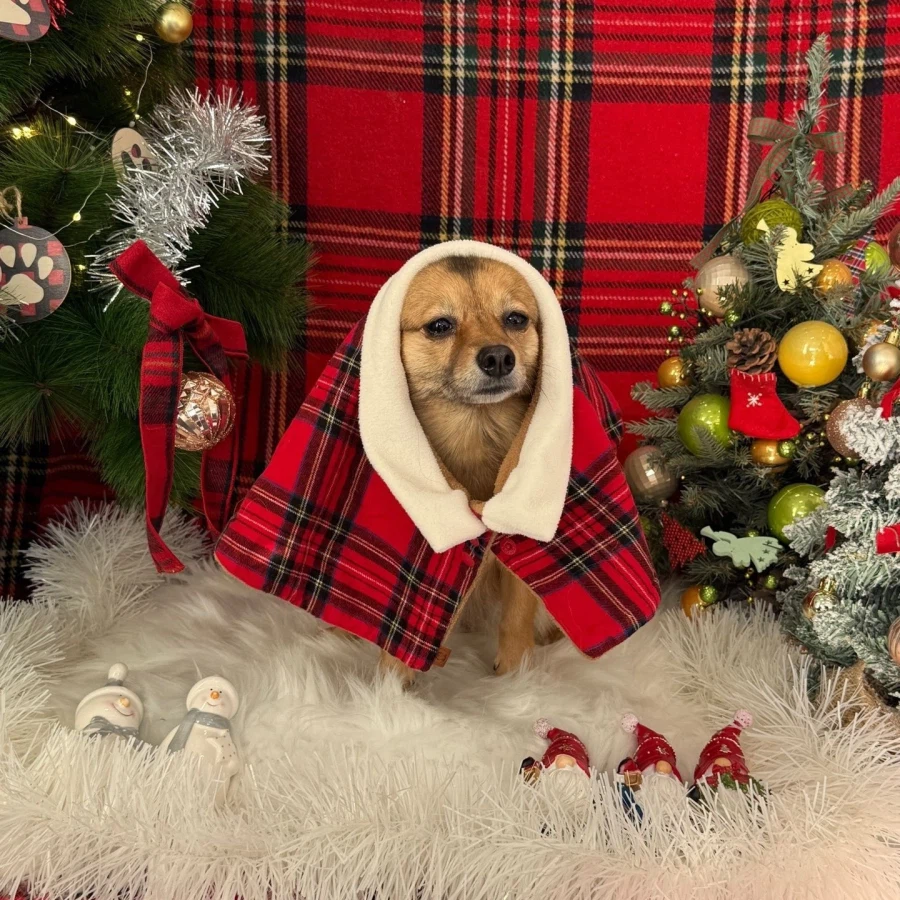 아침부터 범죄 좀 저지르겠습니다_4.webp