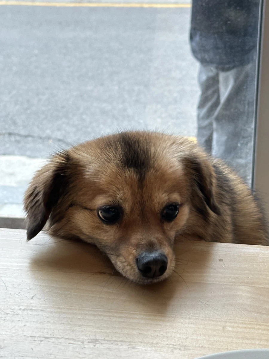 아침부터 범죄 좀 저지르겠습니다_5.webp