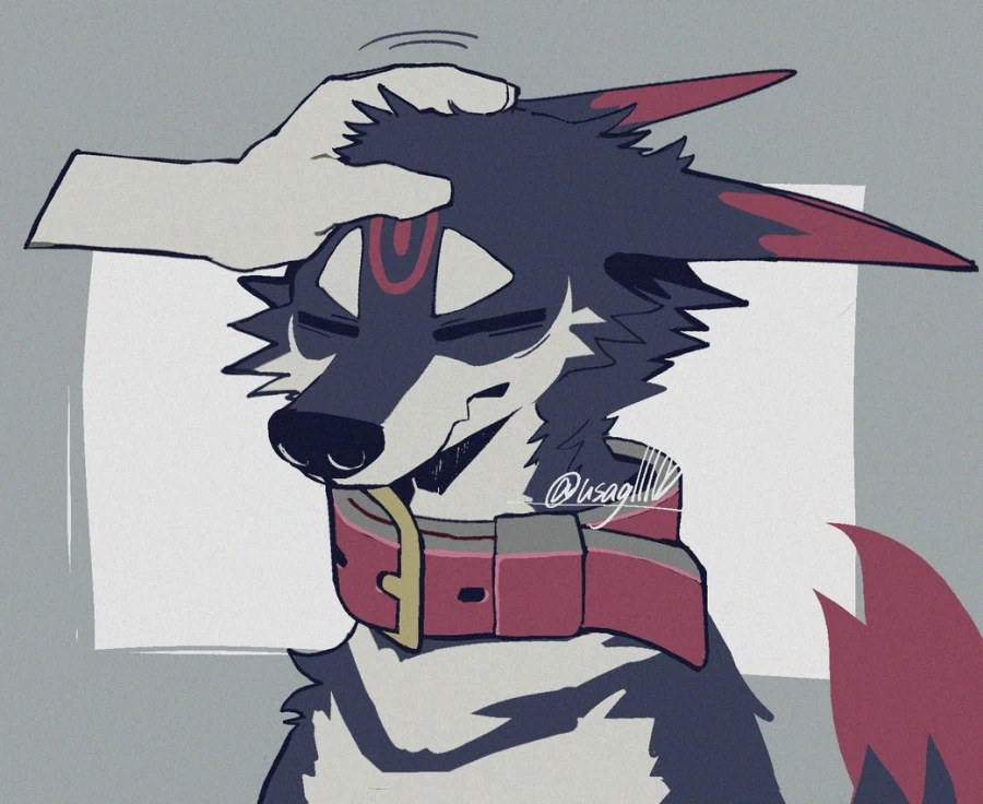 퍼리의 목줄_1.webp