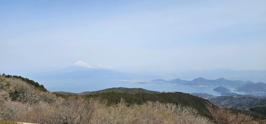 유게이들 와서비 어떻게 키우는지 암??_3.webp