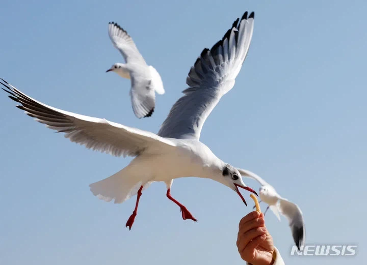 해외에서 부산을 꽉 찬 육각형 여행지로 주목하는 이유.jpg_3.webp