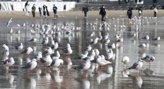 해외에서 부산을 꽉 찬 육각형 여행지로 주목하는 이유.jpg_4.webp