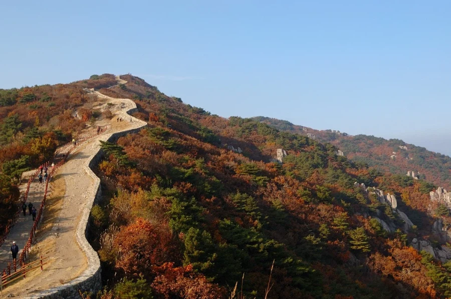 해외에서 부산을 꽉 찬 육각형 여행지로 주목하는 이유.jpg_9.webp