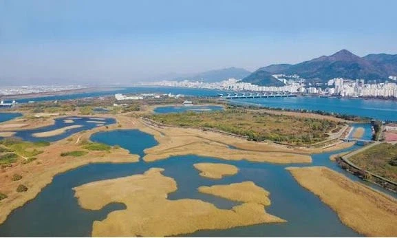 해외에서 부산을 꽉 찬 육각형 여행지로 주목하는 이유.jpg_11.webp