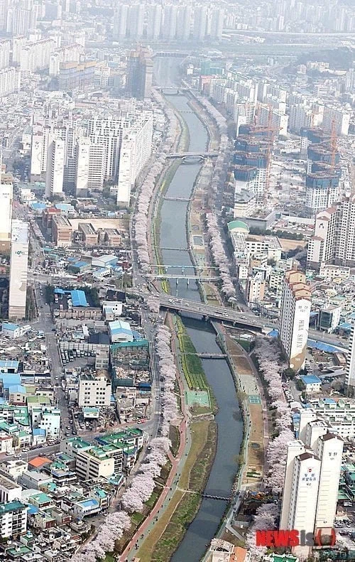 해외에서 부산을 꽉 찬 육각형 여행지로 주목하는 이유.jpg_14.webp