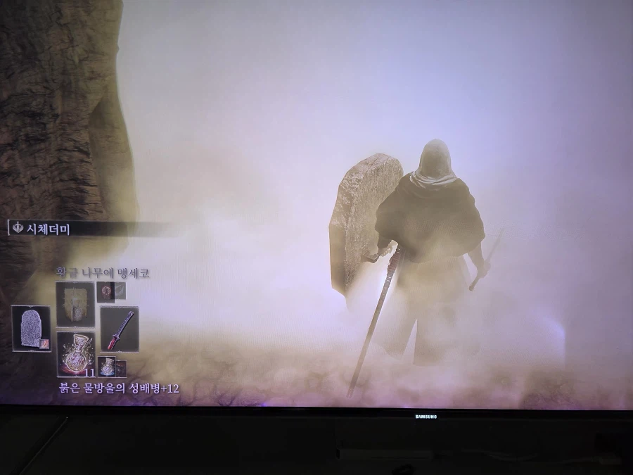 엘데의 왕좌에서 막보 잡으러 가려는데 입장안뎀_1.webp