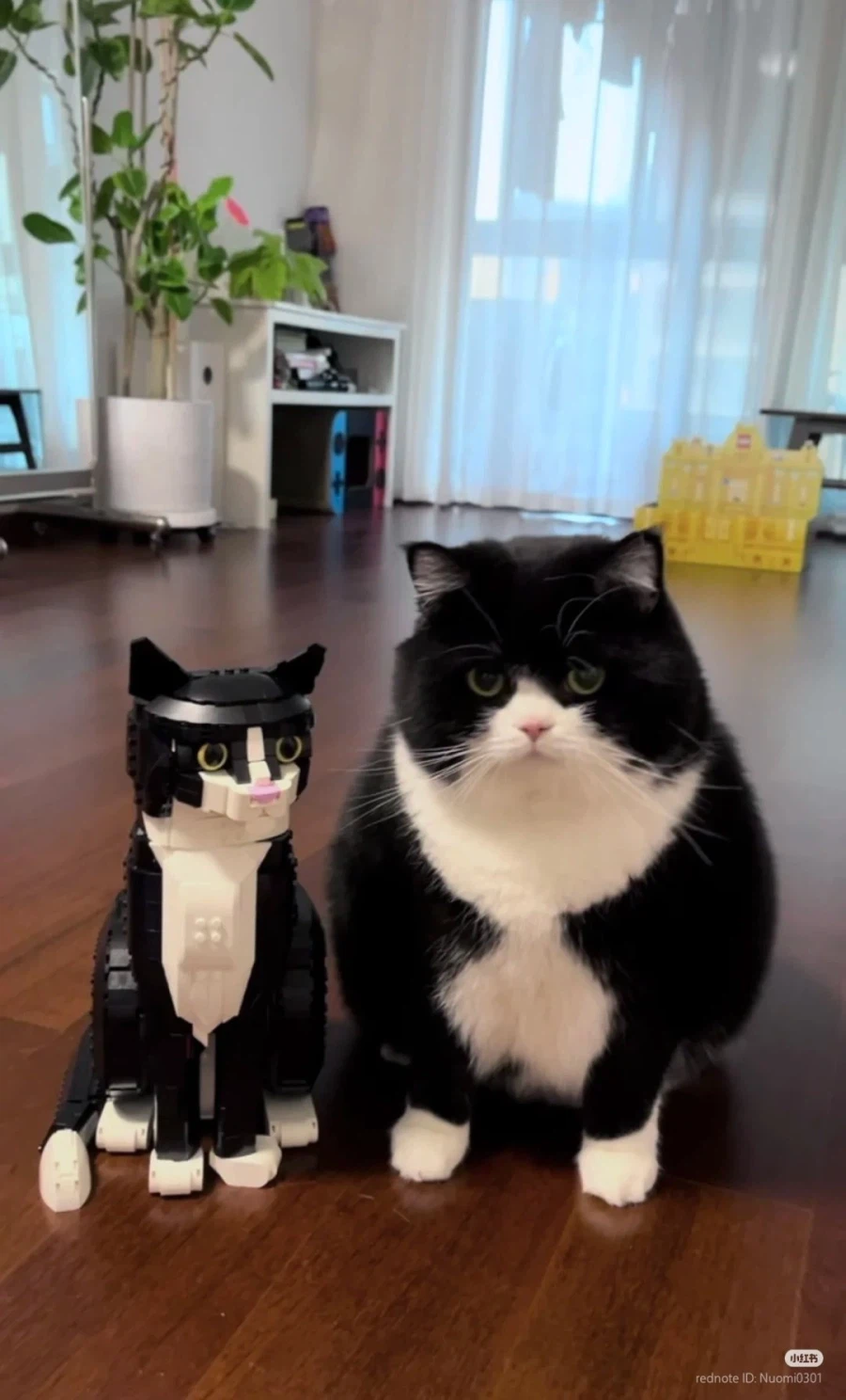 레고 고양이 고증 실패🐈‍⬛_1.webp