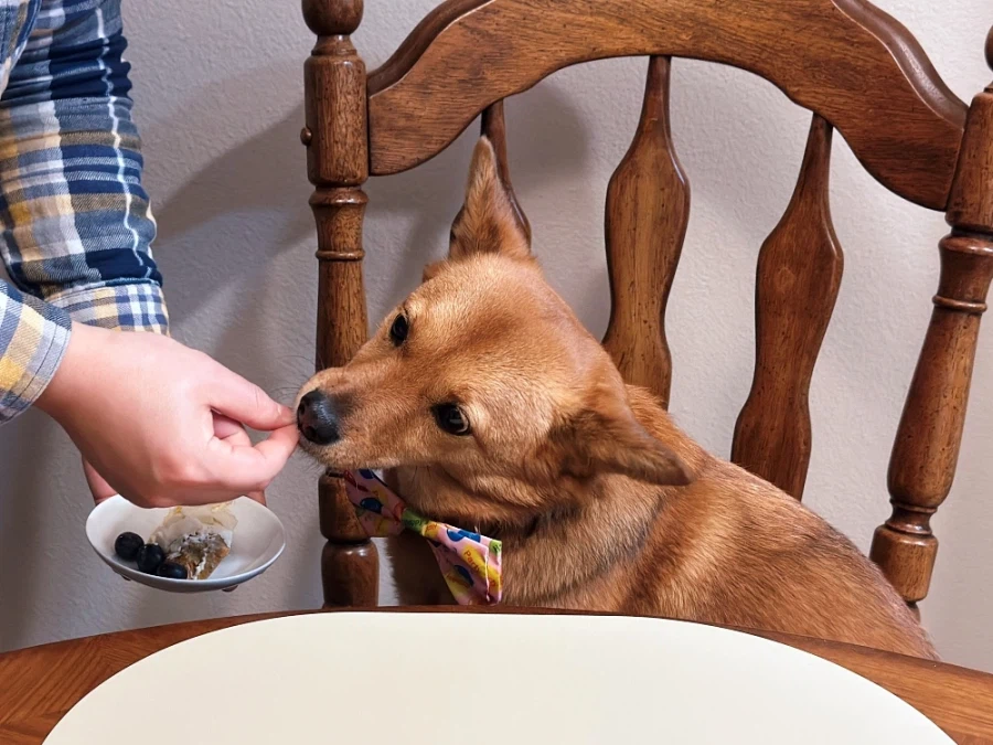 2월의 먹고 사는 이야기_11.webp