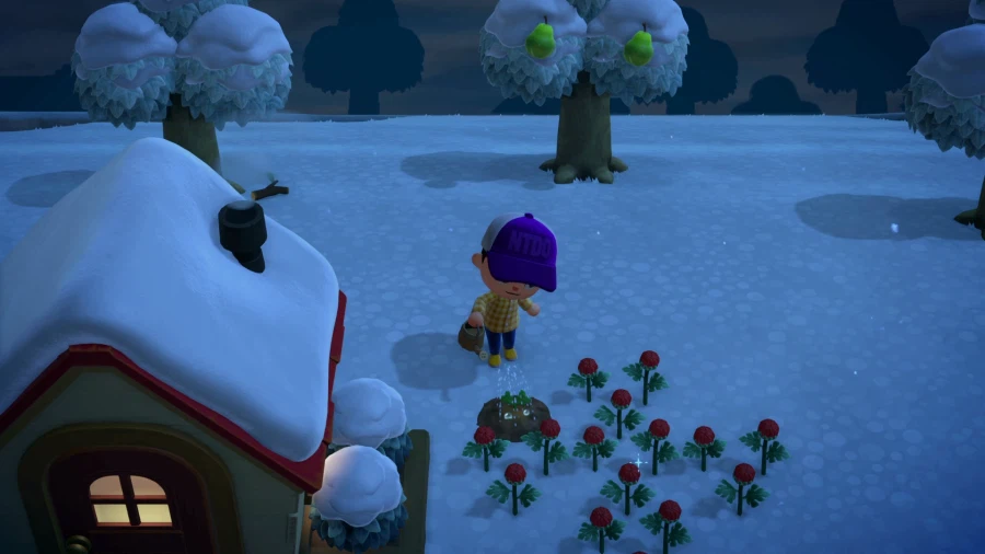 모여봐요 동물의 숲_3.webp