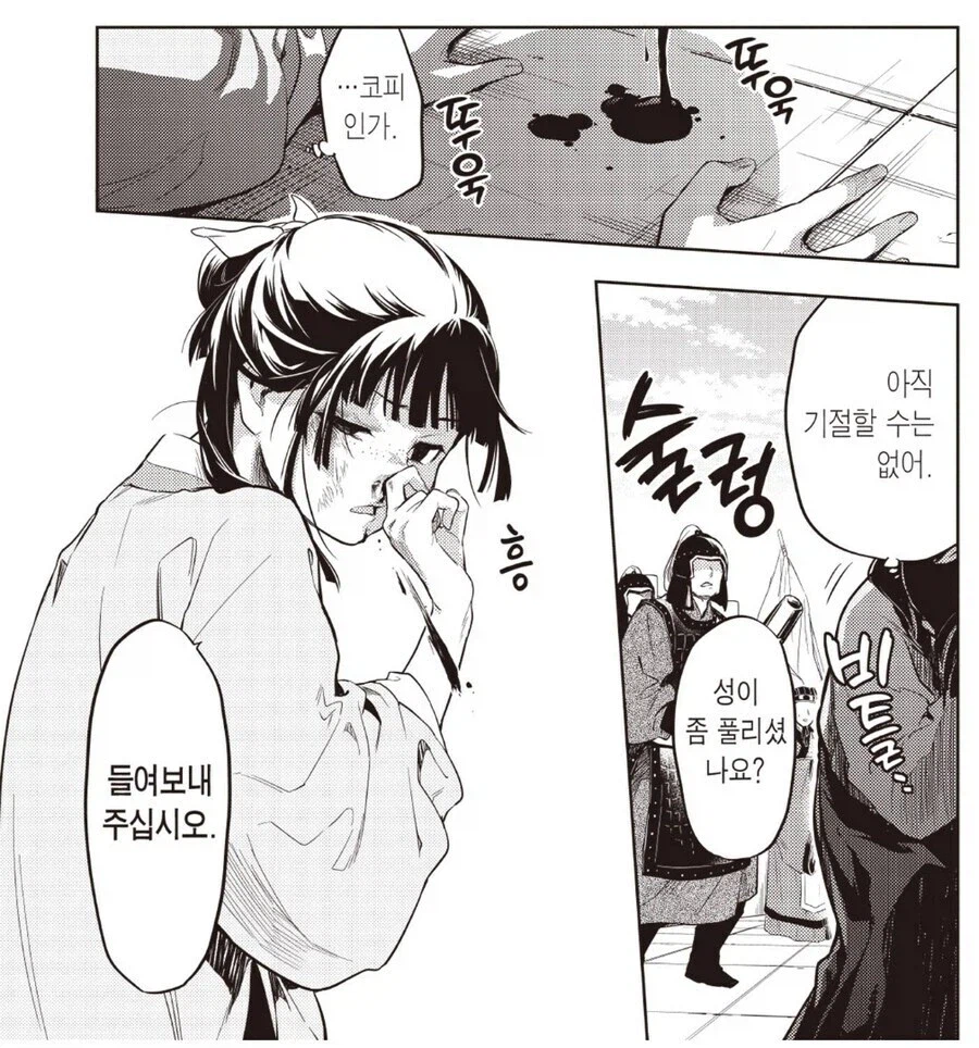 약사의 혼잣말) 여주 후려팬 경비병이 작품 외적으로 안습된 점_6.webp