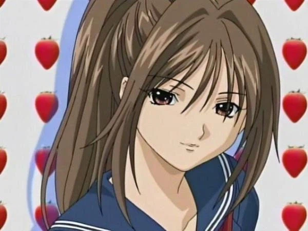 내가 본 하렘물 내 최애 특징_1.webp