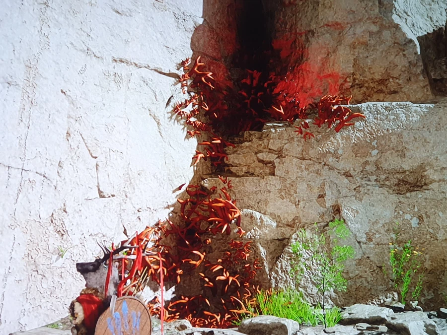 절벽 붉은 해초? 제거 방법 아시나요? (해결)_1.webp