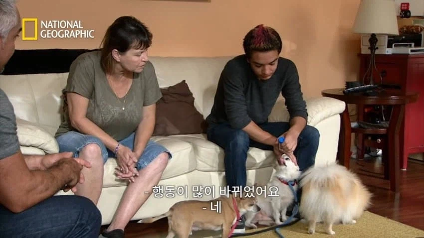 개 행동이 이상하게 공격적이면 병원에 가봐야함_14.webp