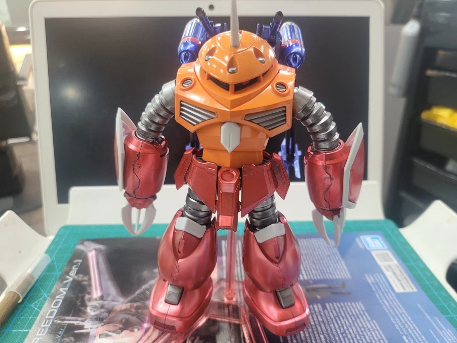 (초보도색)[HG]즈고크(시드 프리덤 버전)입니다._4.webp