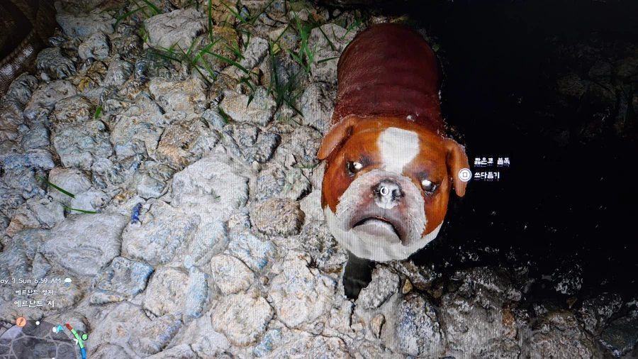 내가 원하는 졸귀 불독은 어디에?? ㅜㅜ_4.webp