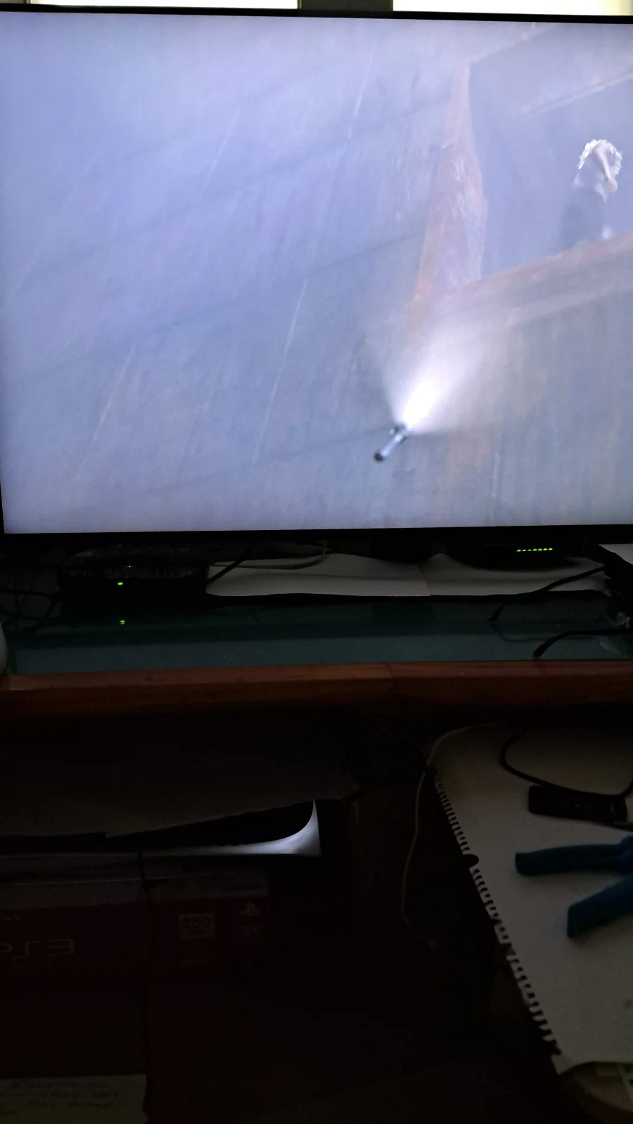 레온이 투명인간이 되는 버그가 있네요_4.webp