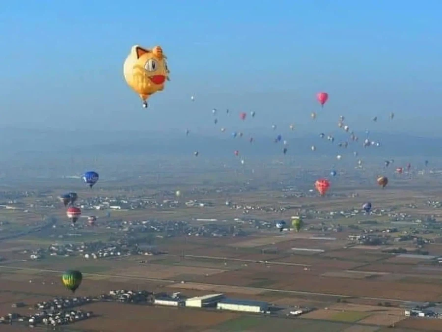 "열기구 대회에 무사히 참가해서 다행이라옹."_1.webp