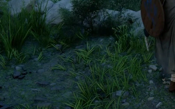 붉은사막 RR 옵션의 차이_7.webp