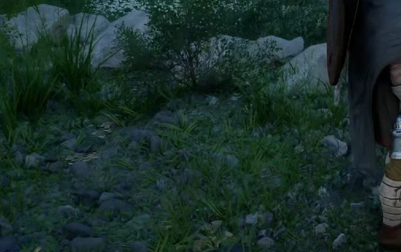 붉은사막 RR 옵션의 차이_8.webp