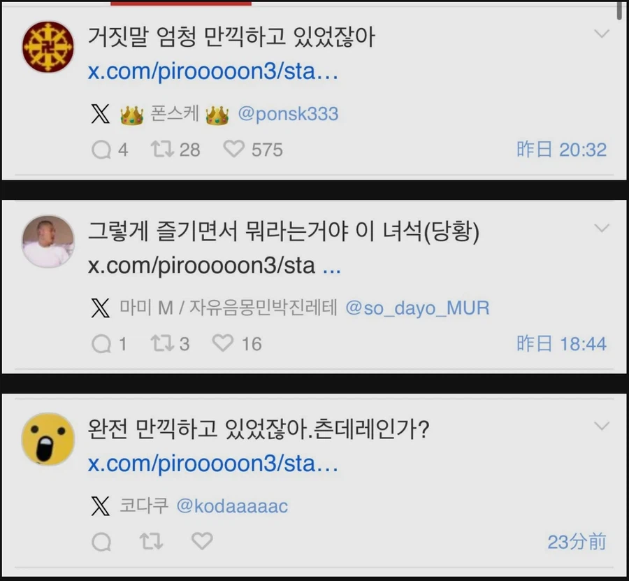 전설로 남은 혐한 넷우익의 한국 관광 일지.jpg_14.webp