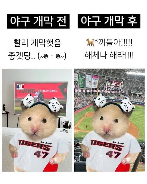 1시간뒤부터 쓸 수있는 짤_1.webp