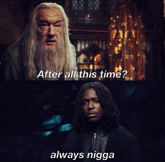 밈 화 되기시작한 흑인스네이프_1.webp