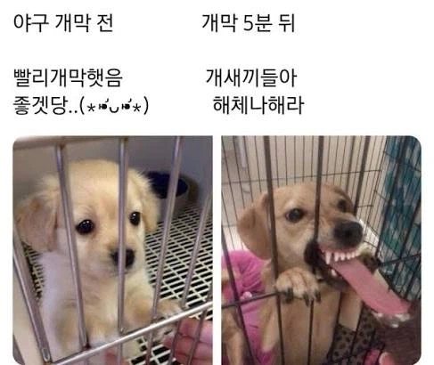 드디어 쓰네 해체해라_1.webp