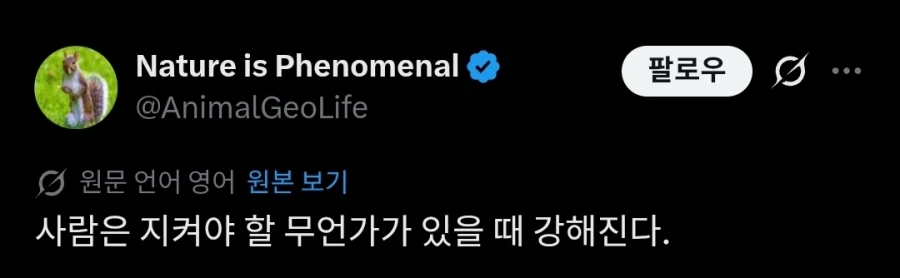 암컷을 위해 싸우는 수컷게.mp4_1.webp