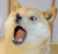 듀얼마스터즈) 6화, 골드한 위크! 남국 상륙작전!_88.webp