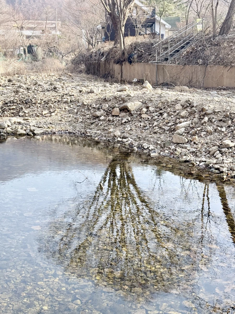 토요일 가족 바비큐_17.webp