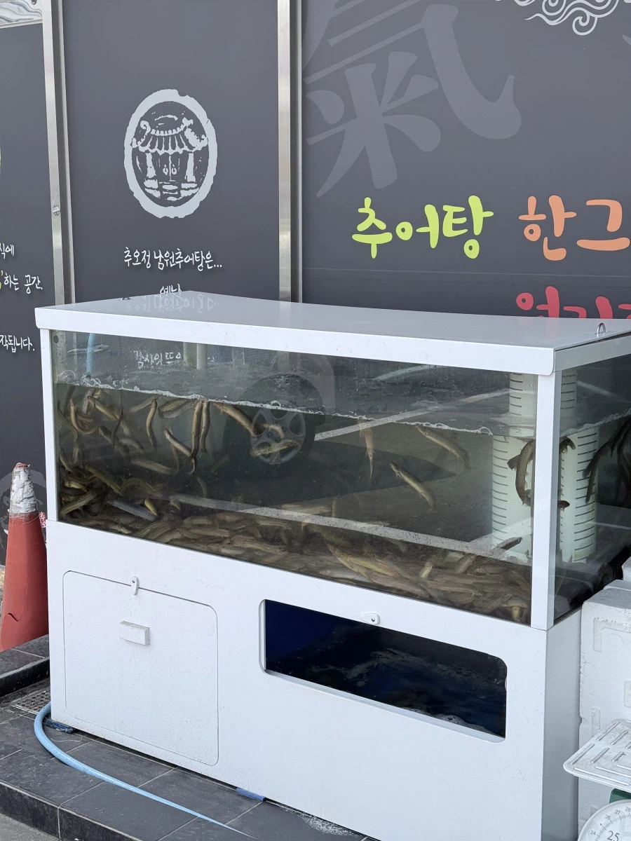 주말 기력 추어탕_7.webp