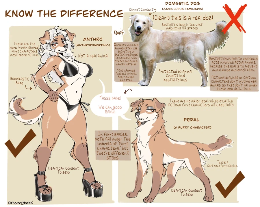 퍼리 구분하는 방법_1.webp