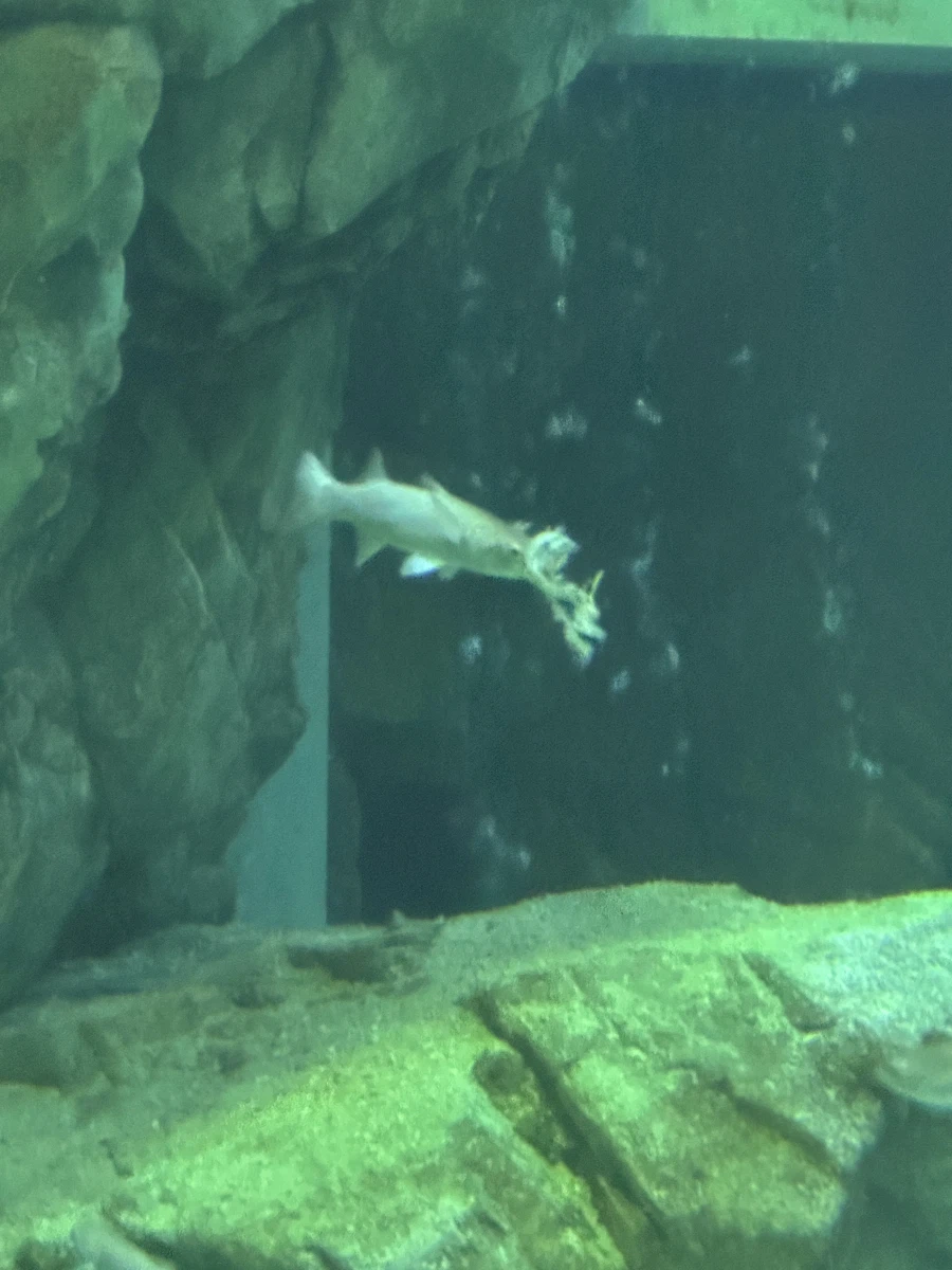 우리집 대장님 생일_13.webp