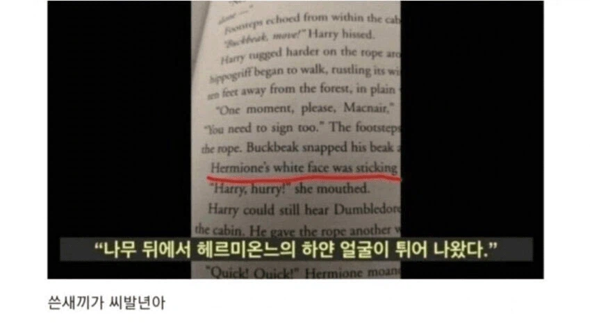 "누가 헤르미온느 보고 백인이래!"_4.webp