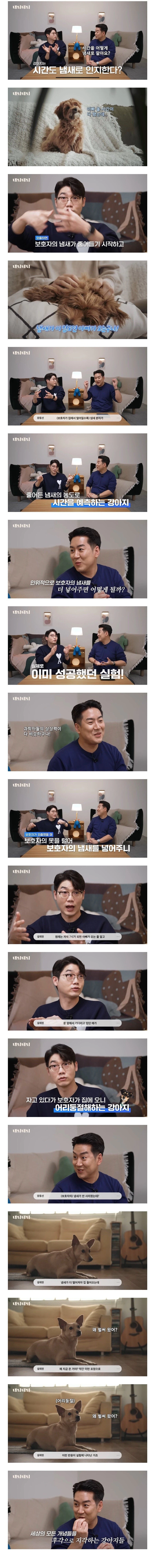 강아지는 시간도 냄새로 인지한다_1.webp