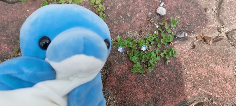 봄이 찾아왔어요!_6.webp